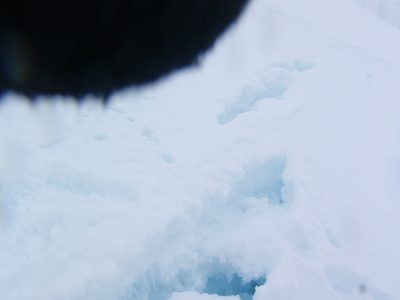 Looking into a crevasse.  Sorry about my gloved finger...