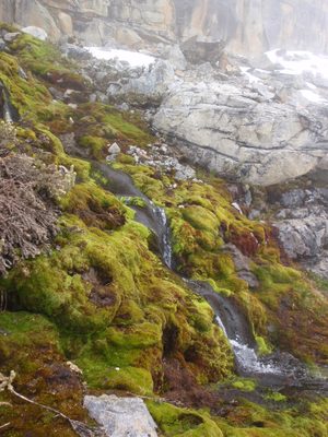 A pretty stream on the hike down.