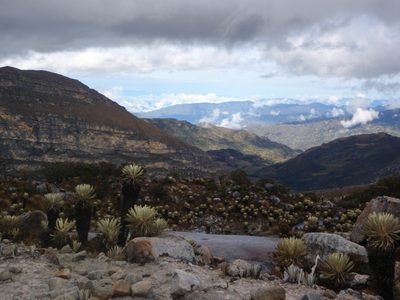 Valley of the frailejones, looking west.