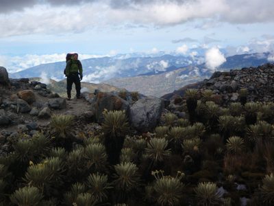 John and some frailejones in the foreground.  On the hike out.