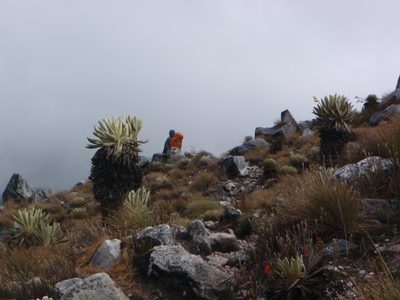 My guide taking a break.