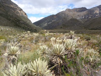 Down at the valley floor.  The weather was almost hot at...