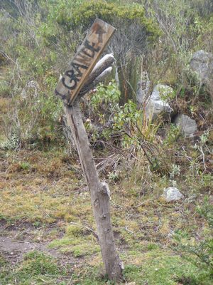 Another cool sign.