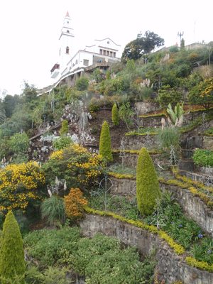 The monks had integrated a nearly vertical garden below...