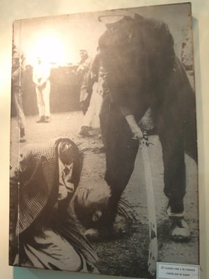 Pretty great photo. The National Police Museum was not a...