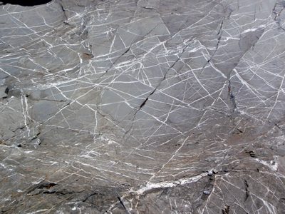 These were the sorts of quartz veins that characterized...