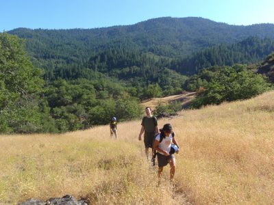 It was a strikingly beautiful walk back through "Golden...