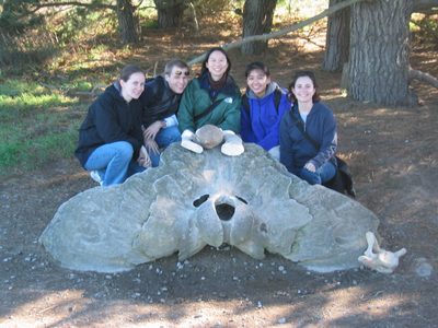 Rachel, John, and the 3 people we went Elephant Seal...