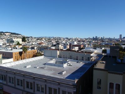A bright June morning from my bedroom window. I think I...