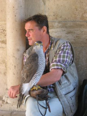 Some dude with a falcon.  I couldn't figure out what in...