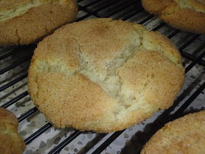 Snickerdoodle.  Nice and crackly.