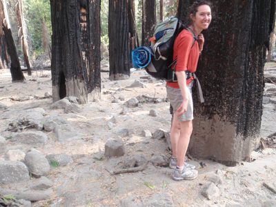 We passed through a large section of forest that had...