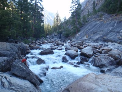 Jasper, our tireless waterboy pumps from a precarious...