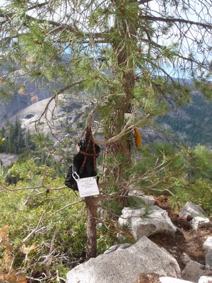 More ASCA gear hanging from trees.