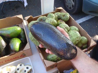 This is an avocado.  We bought it.  It was delicious,...