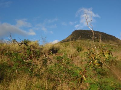 After the gym, I drove to Koko Crater, on the east side...