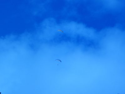 Parachuters riding thermal updrafts. 