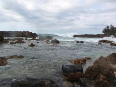 Next we drove to Shark's Cove, which despite large...