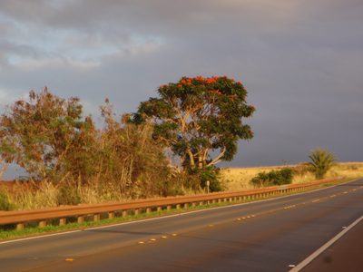 On the drive back across the center of the island...