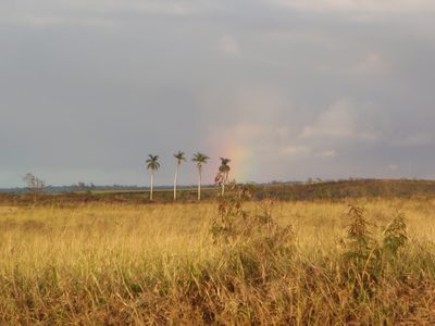 Tiny bit of a rainbow to the east.