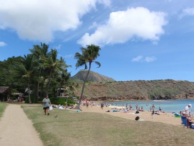 Back on dry land.  Hanauma Bay with Koko Crater in the distance.