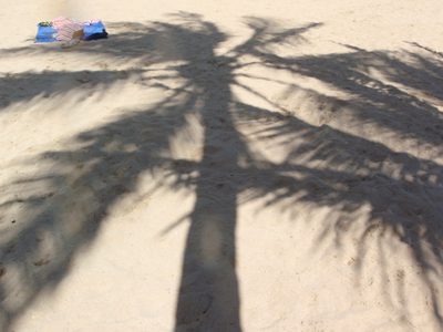 The palm tree I was sitting under cast a very photogenic...
