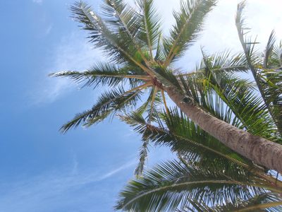 Lying on the ground and looking up from where I read my...