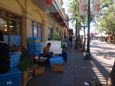View of a walking promenade in Chinatown.