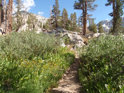 Trail leading to the next set of lakes.