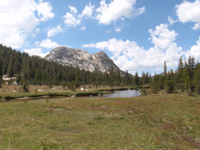 Peaceful Kerrick Meadows.
