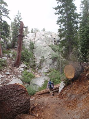 Big log across the trail.