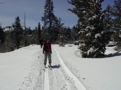 As much as we complain about snowmobilers, they do leave...