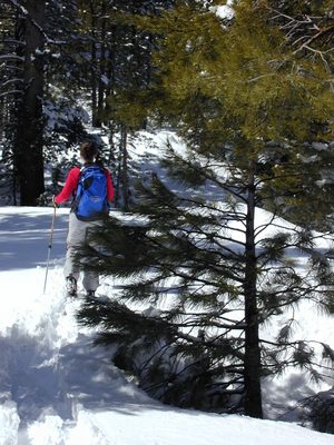Rachel going up the hill.
