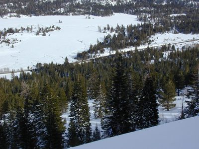 I can see the car from here.  Can you spot it?