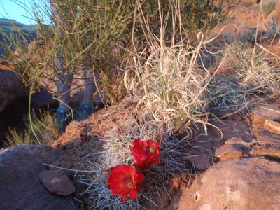With April's feet for scale.