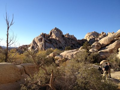 View near Barker Dam.