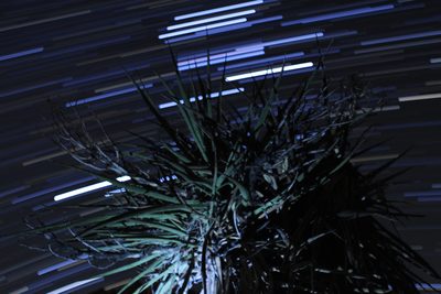 Playing around with lights and a joshua tree and the night sky.