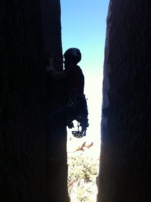 I like the silhouette effect. 