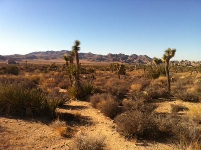 Hiking back to the road in the Saturday afternoon heat.