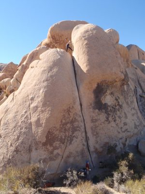 Lee on top.