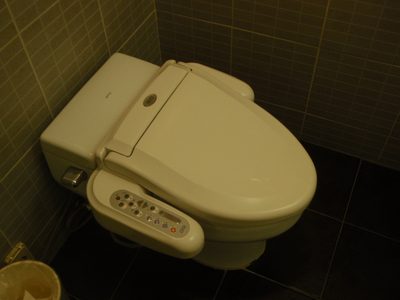 Our toilet.  I have no idea how it works.