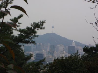 Another view of the N'Seoul Tower, through the tree branches.