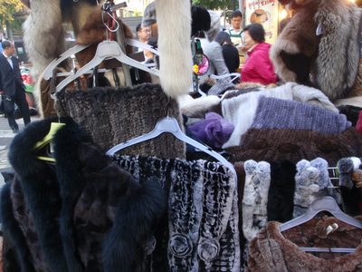 In case you need a Davy Crockett coonskin cap.
