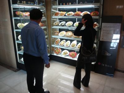 Plastic food to choose from at the Chinese restaurant we...