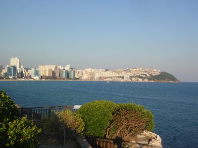 The view from the promenade outside the APEC pavillion.