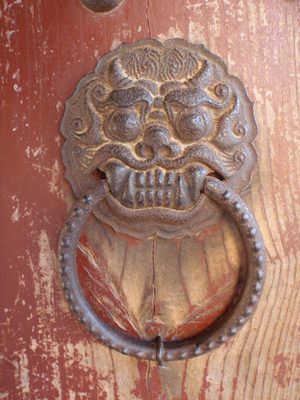 I liked this door handle too.  It´s like a lion with...