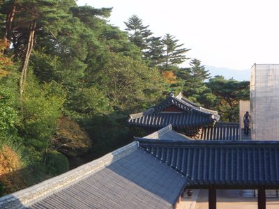 A shot of the roofs from above.
