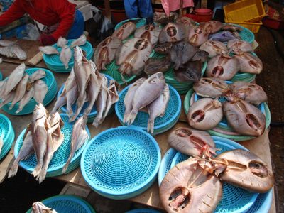 Some sort of fish, pre-gutted, and held open like a kite...
