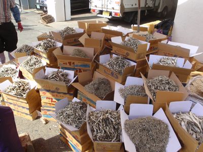 That´s a lot of dried sardines.