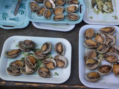 Some sort of bivalve for sale.